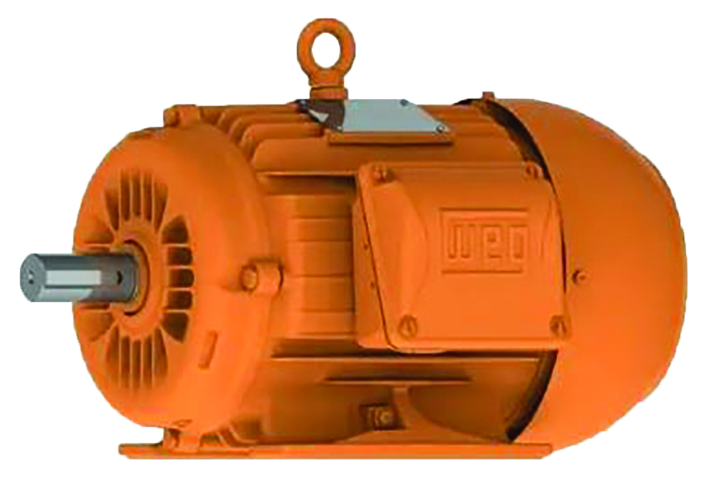 Other view of WEG - Motor - W22 Mining Efficiency - E3 4 kW 4P 112M 3Ph 415 V 50 Hz IC411 - TEFC - B3R(E) - KTE194 W22M