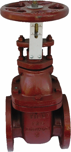 Other view of AAP Valve Gate - Non-Rising - Class 600 - Cast Iron - 65mm - VCIG65E