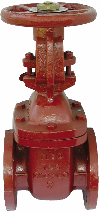 Other view of AAP VALVE GATE CAST IRON (OS&Y) 601 125MM