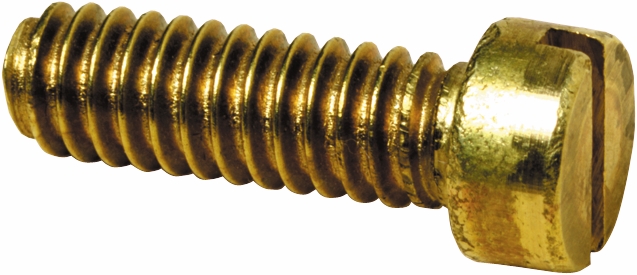 Other view of Brass Fasteners - Screw - Machine Cheese - Brass - Self Colour - Metric - Metric Coarse - 5X25mm